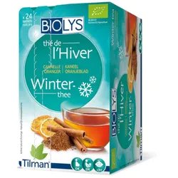 Biolys Wintertee Zimt Bitterorange