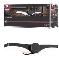 Paulmann LED Außenwandleuchte Pekana IP44