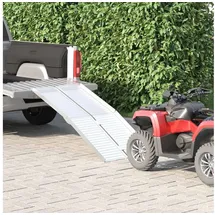 vidaXL Rampe für Rollstühle 270 kg Silber