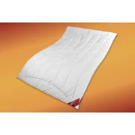 Garanta Kamelhaar-Duo-Warm-Steppbett Stärke Duo-Warm Größe 135x200 Bezug: 100% Baumwolle/Füllung: 100% Kamelhaar
