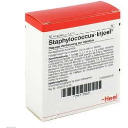 Staphylococcus Injeel Ampullen 10 St