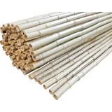 WINDHAGER Sichtschutzmatte Ontake 180 x 180 cm natur