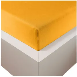 Traumschloss Spannbettlaken Premium Plus Jersey 90 x 200 - 100 x 220 cm gold