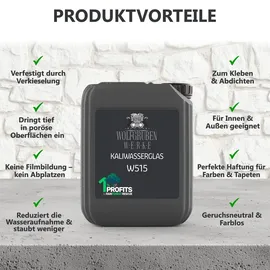 WO-WE Kaliwasserglas Haftgrund Bindemittel Versiegelung Wasserglas Mauerabdichtung W515 10 l