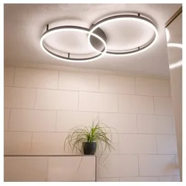 s.luce Ring LED Deckenleuchte 2-flammig
