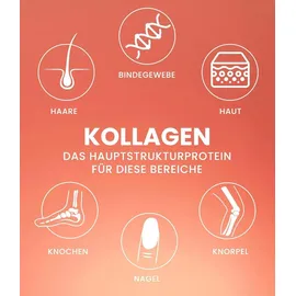 Purefitness Kollagen Pulver Komplex 450 g