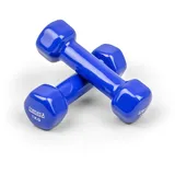 TRENAS Kurzhanteln | 2er Set | Hantelset | je 1 kg | Hanteln für Frauen und Männer | Fitness und Krafttraining zuhause und im Fitnessstudio | 2X 1 kg | Hexagon