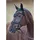 Catago Fliegenhaube FIR-Tech Healing - blau - Warmblut