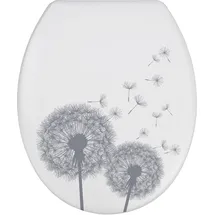 Wenko Astera Duroplast Grau