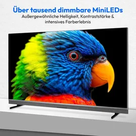 Medion MD 865900 65" 3840 x 2160 LED 4K Smart TV
