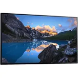 Dell UltraSharp U2424HWOS 61cm (24") FHD IPS Office-Monitor HDMI/DP/USB-C