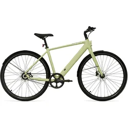 TENWAYS Elektro-Citybike E-Urban CGO600PRO l, grün L