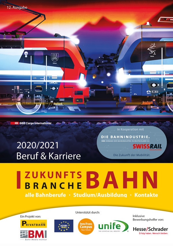 Zukunftsbranche Bahn  Kartoniert (TB)