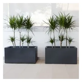 Wellhome Rodr-i 60 x 20 cm Zement