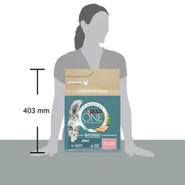 Purina One Adult Lachs und Vollkorn-Getreide 2,8 kg