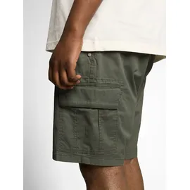 Tom Tailor PLUS, Herren, Gr. 46, N-Gr, khaki mini geometric print, Web, Obermaterial: 98% Baumwolle, 2% Elasthan, unifarben, normal kurz, Hosen Cargohose, Cargo-Shorts mit Stretch