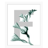 queence Bild »F-Flower«, Buchstaben, gerahmt, Blume, Blätter, grau