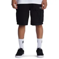 DC Shoes Tundra - Cargoshorts für Männer