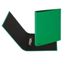 Pagna Ringbuch A4 grün 2Ring
