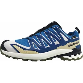 Salomon XA Pro 3D V9 GTX Herren Dark Blue/Icicle/Aloe 44