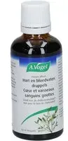 A.Vogel Viscum Album Coeur et vaisseaux sanguins Gouttes Goutte(S) 50 ml