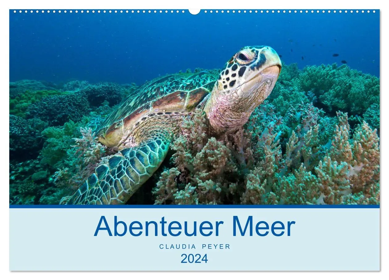 Abenteuer Unterwasser (CALVENDO Wandkalender 2024) - A2
