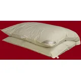 Betten Hofmann Sibiria Winterbett Ballonbett Oberbett Federbett 135x200 100% Wildgänse-Federn