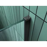 impex-bad Duschwand SC mit schwarzen Anbauteilen in 120 x 200 cm