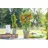 PlantaPro Pyracantha 'Orange Glow' 60–80 cm – Winterhart, Immergrün, Pflegeleicht – Feuerdorn – Heckenpflanze für Garten & Sichtschutz
