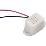 Conrad EMS-06L Miniatur Summer Geräusch-Entwicklung: 80 dB Spannung: 12 V Dauerton 1 St.