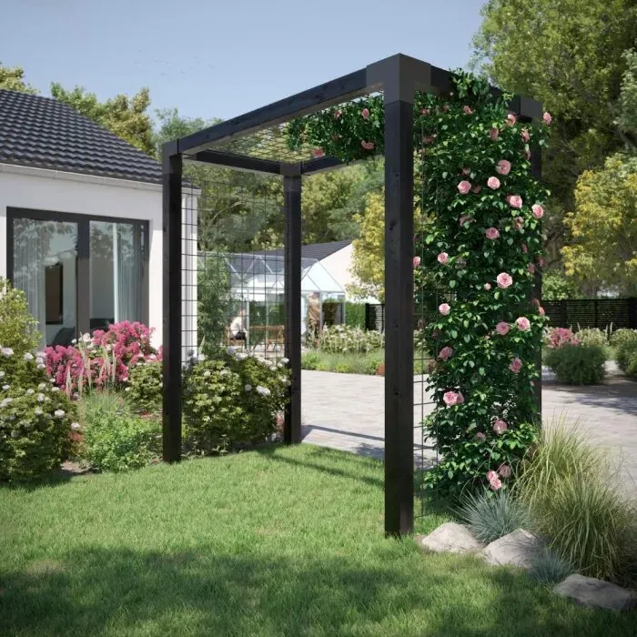 PLUS Rosenpergola