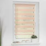 Lichtblick Duo Rollo / Doppelrollo Klemmfix 100 x 150 cm verspannt creme