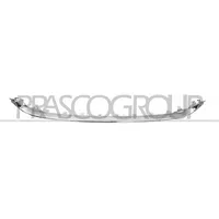 PRASCO FT0321245 - Zier-/Schutzleiste, Kühlergitter