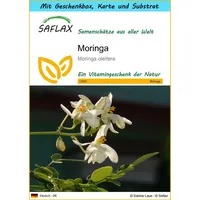 SAFLAX Blumensamen SAFLAX - Geschenkset - Moringa
