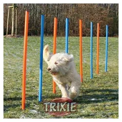 Trixie Agility Slalom