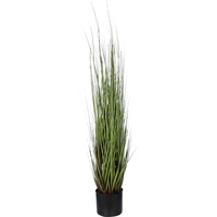 Mica decorations Mica Dogtail Gras grün in Topf 115