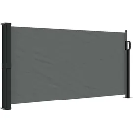 vidaXL Seitenmarkise Ausziehbar 100 x 500 cm Anthrazit Polyester