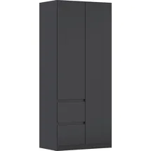 Rauch Drehtürenschrank MAINZ 91 x 210 x 54 cm Grau
