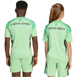 adidas FC Bayern München Torwarttrikot 2025/26 Kinder grün Gr. 176