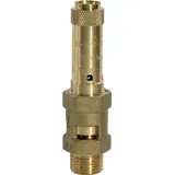 Riegler Sicherheitsventil G 1 1/2 4 bar
