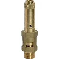 Riegler Sicherheitsventil G 1 1/2 4 bar