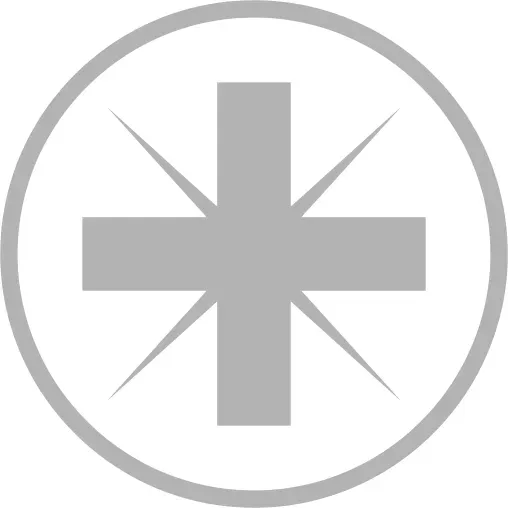 Bits für Pozidriv Schrauben PZ 2x25 mm - 10 Stück - 