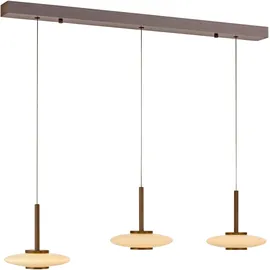 neuhaus pure® by paul neuhaus PURE 3-flg. 60 cm dunkelbraun Metall