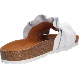 Verbenas Rocio Roda blanco 41