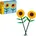 Sonnenblumen 40524