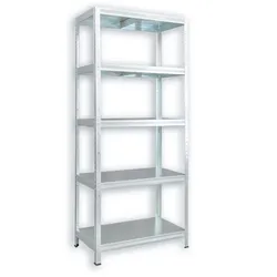 Kellerregale Biedrax 40 x 90 x 210 cm verzinkt - 5 Fachböden