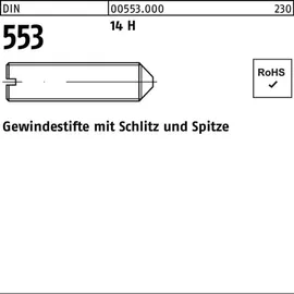 F. REYHER Nchfg. GmbH & Co. KG Gewindestift DIN 553 M10 x 40 100 Stück