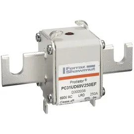 Mersen Sicherungseinsatz aR PC31UD69V250EF