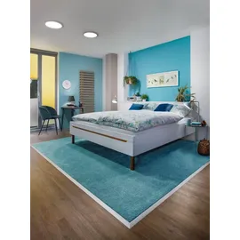 Paulmann Atria (709.37)