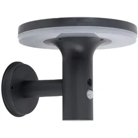 Expo Börse Wandlampe mit Bewegungsmelder LED Solarleuchte Haustürlampe Fassadenleuchte anthrazit Gartenlampe, 250lm, Kaltweiß, Bxh 24x21 cm